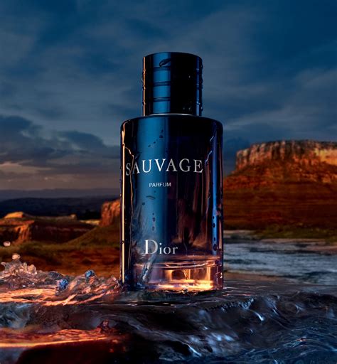 sauvage dior erkek|sauvage dior cologne reviews.